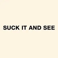 Arctic Monkeys — Suck It And See — обложка